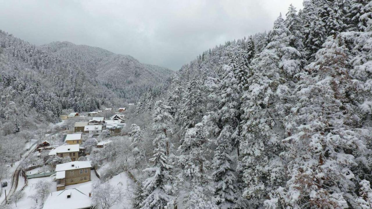 Serenity Likani Villa Hotel Borjomi Exterior photo