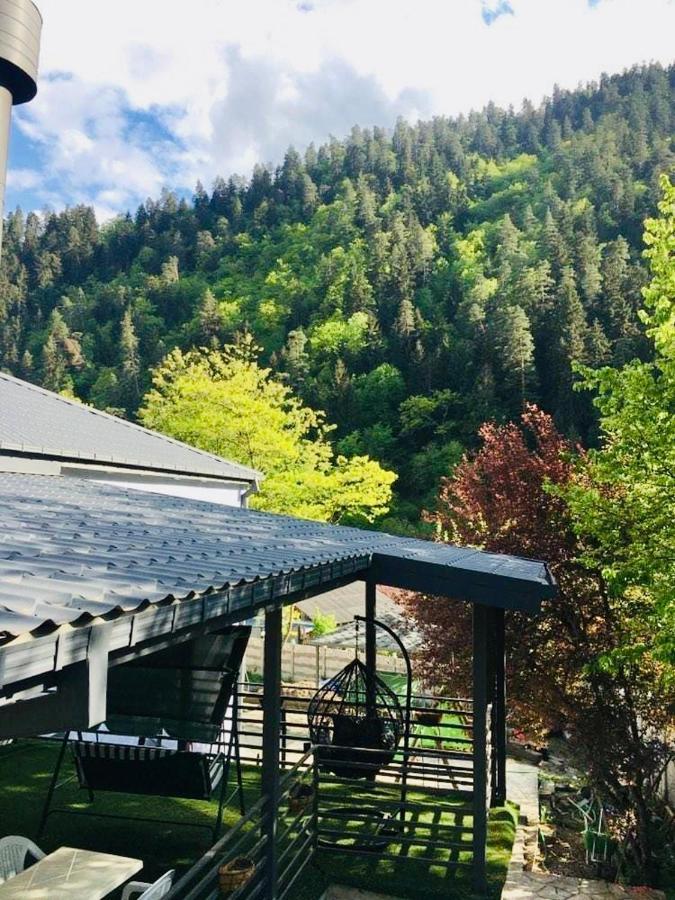 Serenity Likani Villa Hotel Borjomi Exterior photo