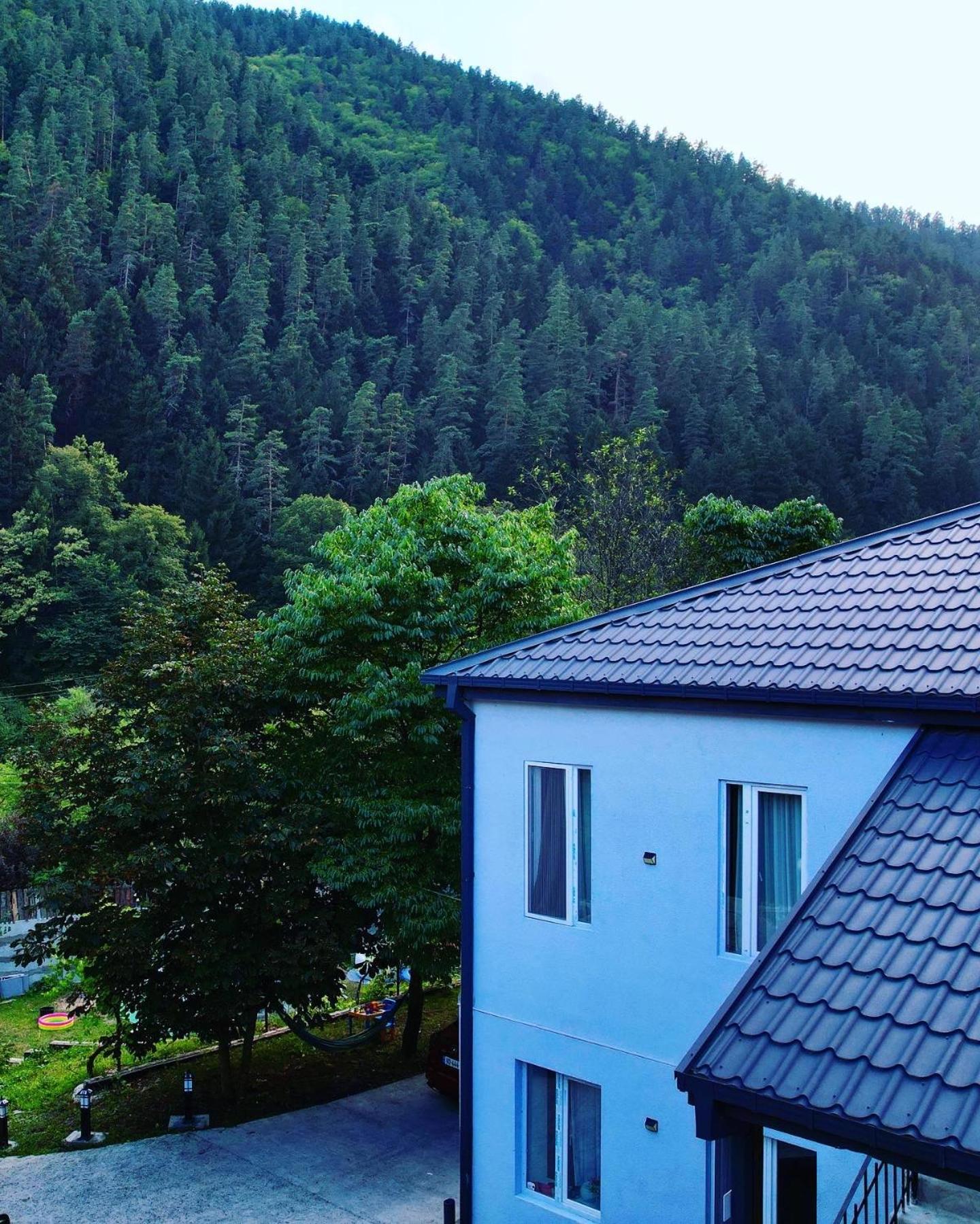 Serenity Likani Villa Hotel Borjomi Exterior photo